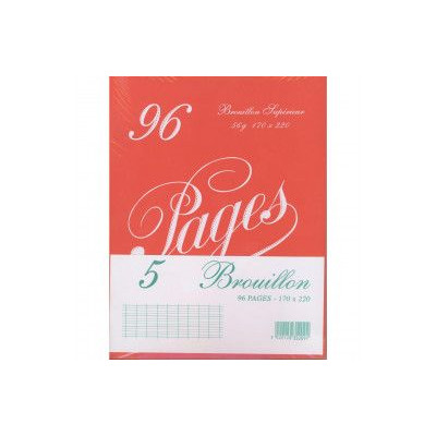 LOT DE 5 CAHIERS RETRO AGRAFES 170x220 96P 60G BROUILLON SEYES