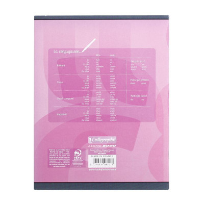 8000 PELLICULE, Cahier piqué 17x22 32p DL2mmIV 90g
