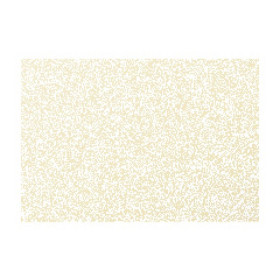 Paquet de 25 cartes Pollen 70x95 ivoire irisé