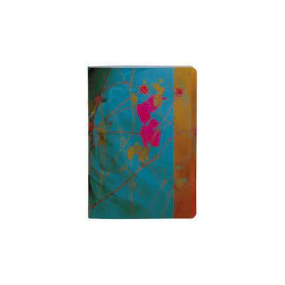 Egerie, Cahier piqué A4 - 21 x 29,7 cm 96 pages ligné + marge, ass.