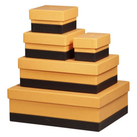 Rhodiarama set 5 boîtes gigognes simili cuir italien ORANGE 44x34x16cm