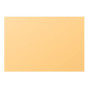 Paquet de 25 cartes Pollen 110x155 caramel