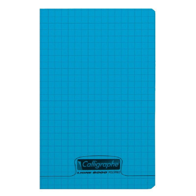 8000 POLYPRO, CARNET Cahier piqué Teintes assorties 9x14cm 96p Q.5x5 90g