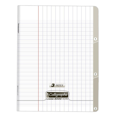 8000 POLYPRO, 3 INDEX Cahier piqué incolore 17x22cm 96p séyès 90g
