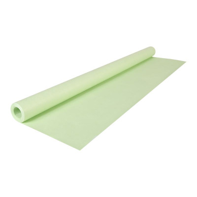 Kraft couleur 65g, rl 10x0,70m Vert pâle