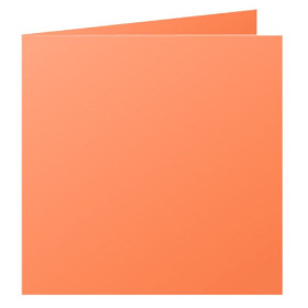 Paquet de 25 cartes pliée Pollen 160x160 clémentine