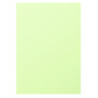 Etui 25F Pollen 210x297 vert bourgeon 210g