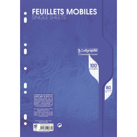 7000, Feuillets mobiles s/film 21x29,7 100p Q.5x5 80g