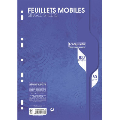 7000, Feuillets mobiles s/film 21x29,7 100p Q.5x5 80g