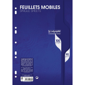 7000, Feuillets mobiles s/film 21x29,7 100p séyès 90g
