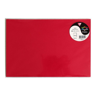 Sachet 5F Pollen 210x297 groseille 120g