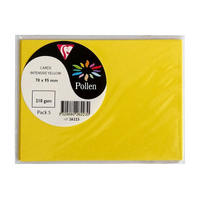 Sachet de 5 cartes Pollen 70x95 soleil