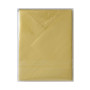 Sachet de 5 enveloppes Pollen 75x100 or