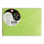 Sachet de 5 cartes pliées Pollen 110x155 vert bourgeon