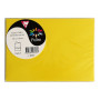 Sachet de 5 cartes pliées Pollen 110x155 soleil
