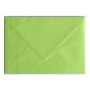 Sachet de 5 enveloppes Pollen 162x22 vert bourgeon