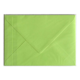 Sachet de 5 enveloppes Pollen 162x22 vert bourgeon