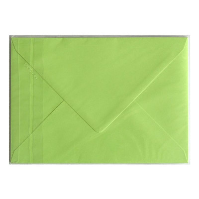 Sachet de 5 enveloppes Pollen 162x22 vert bourgeon