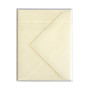 Sachet de 5 enveloppes Pollen 75x100 ivoire