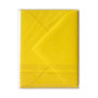 Sachet de 5 enveloppes Pollen 75x100 soleil
