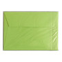 Sachet de 5 enveloppes Pollen 114x162 vert bourgeon