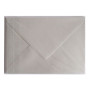 Sachet de 5 enveloppes Pollen 162x229 argent