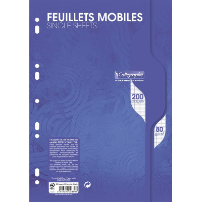 7000, Feuillets mobiles s/film 21x29,7 200p séyès 80g