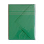 Sachet de 5 enveloppes Pollen 75x100 vert sapin