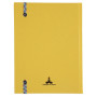 REG IDERAMA 220x170 192P LIGNÉ JAUNE FSC