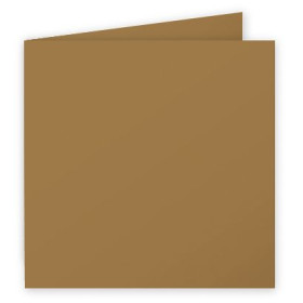Paquet de 25 cartes pliée Pollen 135x 135 Kraft 200g
