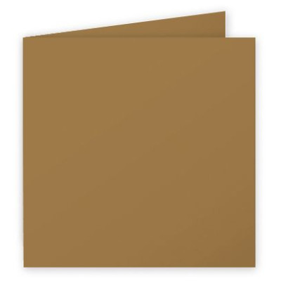 Paquet de 25 cartes pliée Pollen 135x 135 Kraft 200g
