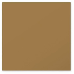 Paquet de 25 cartes Pollen 160x160 Kraft 200g