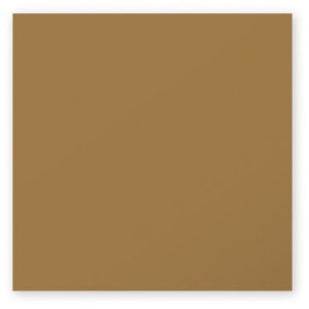 Paquet de 25 cartes Pollen 135x135 Kraft 200g