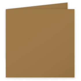 Paquet de 25 cartes pliée Pollen 160x160 Kraft 200g
