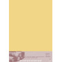 Paquet Pastelmat 70x1005F 360g Bouton d'or