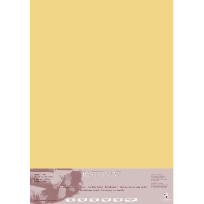 Paquet Pastelmat 70x1005F 360g Bouton d'or
