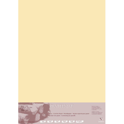 Paquet Pastelmat 70x100 5F 360g Maïs