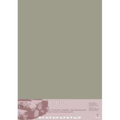 Paquet Pastelmat 70x100 5F 360g Gris foncé