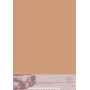Paquet Pastelmat 70x100 5F 360g Terre de Sienne