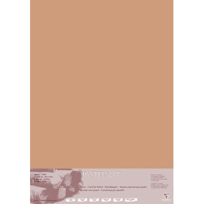 Paquet Pastelmat 70x100 5F 360g Terre de Sienne