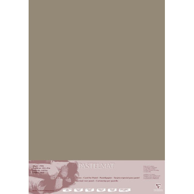 Paquet Pastelmat 70x100 5F 360g Brun