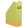Rhodiarama porte-revues simili cuir italien ANIS 10x25x31cm