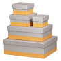 Rhodiarama set 5 boîtes gigognes simili cuir italien SILVER 44x34x16cm