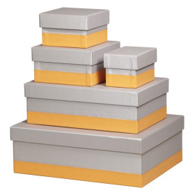 Rhodiarama set 5 boîtes gigognes simili cuir italien SILVER 44x34x16cm