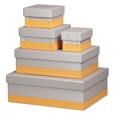 Rhodiarama set 5 boîtes gigognes simili cuir italien SILVER 44x34x16cm