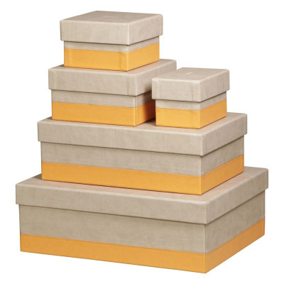 Rhodiarama set 5 boîtes gigognes simili cuir italien BEIGE 44x34x16cm