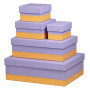 Rhodiarama set 5 boîtes gigognes simili cuir italien IRIS 44x34x16cm