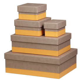 Rhodiarama set 5 boîtes gigognes simili cuir italien TAUPE 44x34x16cm