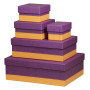 Rhodiarama set 5 boîtes gigognes simili cuir italien VIOLET 44x34x16cm