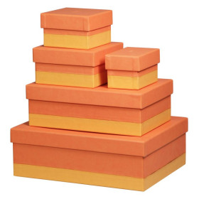 Rhodiarama set 5 boîtes gigognes simili cuir italien TANGERINE 44x34x16cm